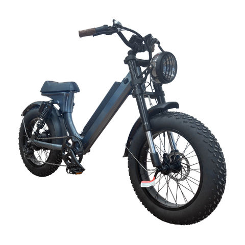 SLH2 20Inch Fat Tyre Electric Halley Bike