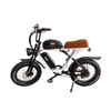 750W Rear Geared Hub Motor 20*4.0 Inch Electric Bike