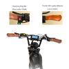 750W Rear Geared Hub Motor 20*4.0 Inch Electric Bike
